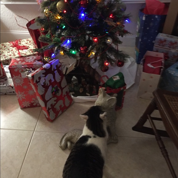 Meet your Posher, Danielle - Picture 1 of 1